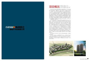 视觉叙事 八大行业趋势与实践指南
